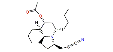 Cylindricine H